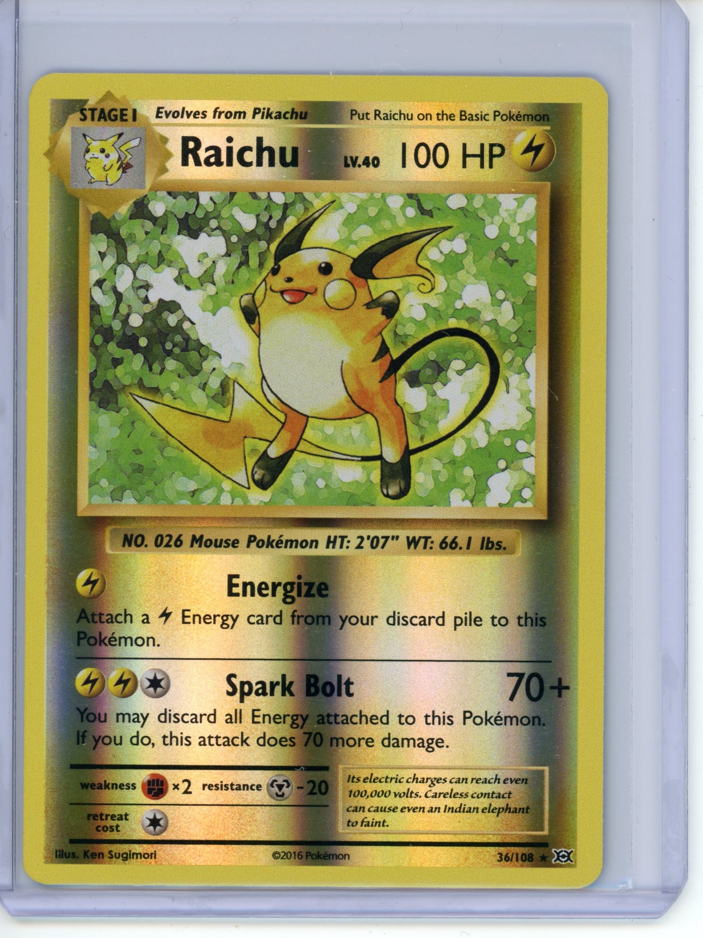 Raichu [Reverse Holo] #36